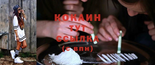 спиды Абаза