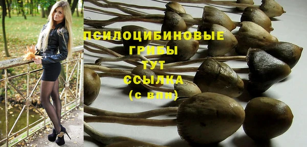 синтетический гашиш Алексин