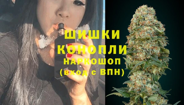 spice Алексеевка